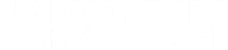 The Adventure Challenge